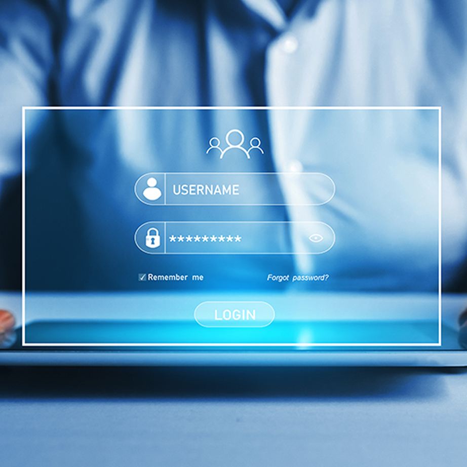 Master Professionalizzante in Data Protection Officer: Cyber & Risk Manager